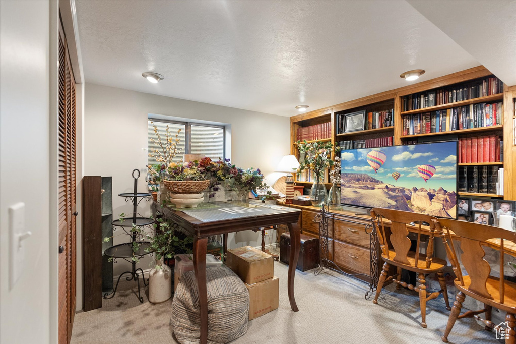 Photo 29 for MLS #2110364 at 5495 S White Springs Dr