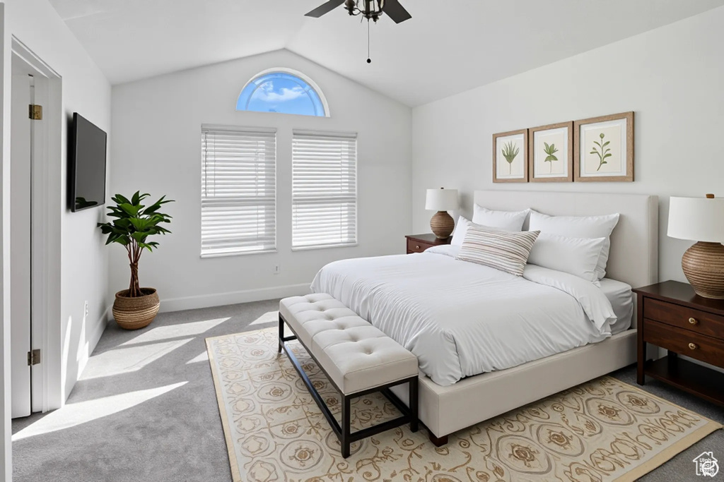 Photo 16 for MLS #2110369 at 619 S Quinn Ct