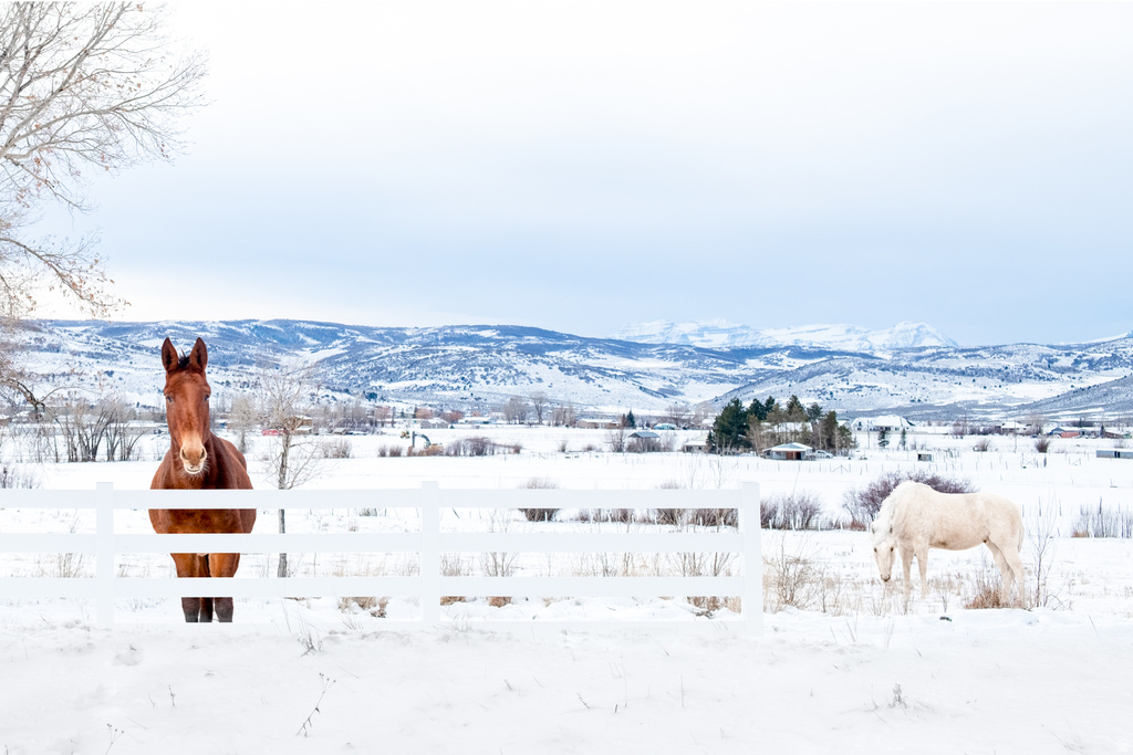 1538  STEWART LN Kamas, UT 84036