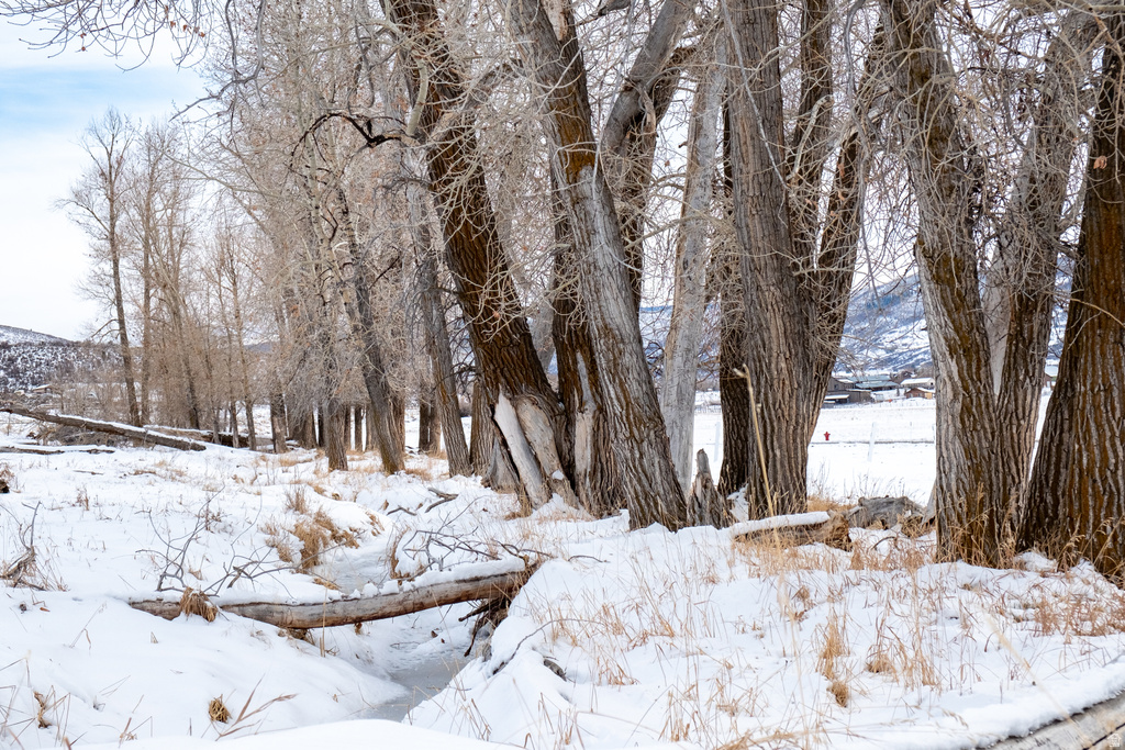 1538  STEWART LN Kamas, UT 84036