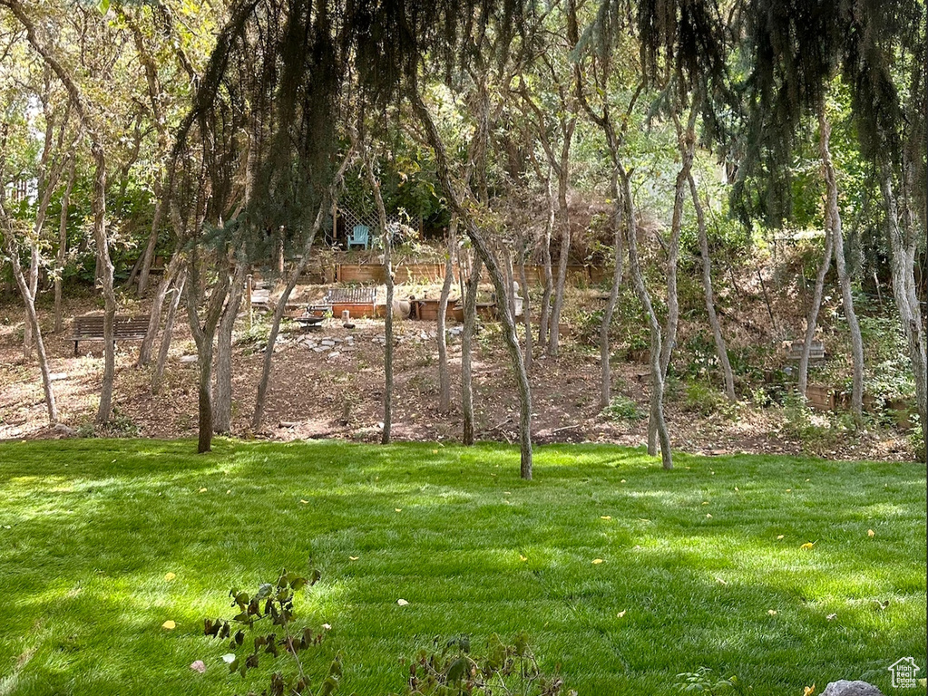 3442 NAVAJO LN Provo, UT 84604