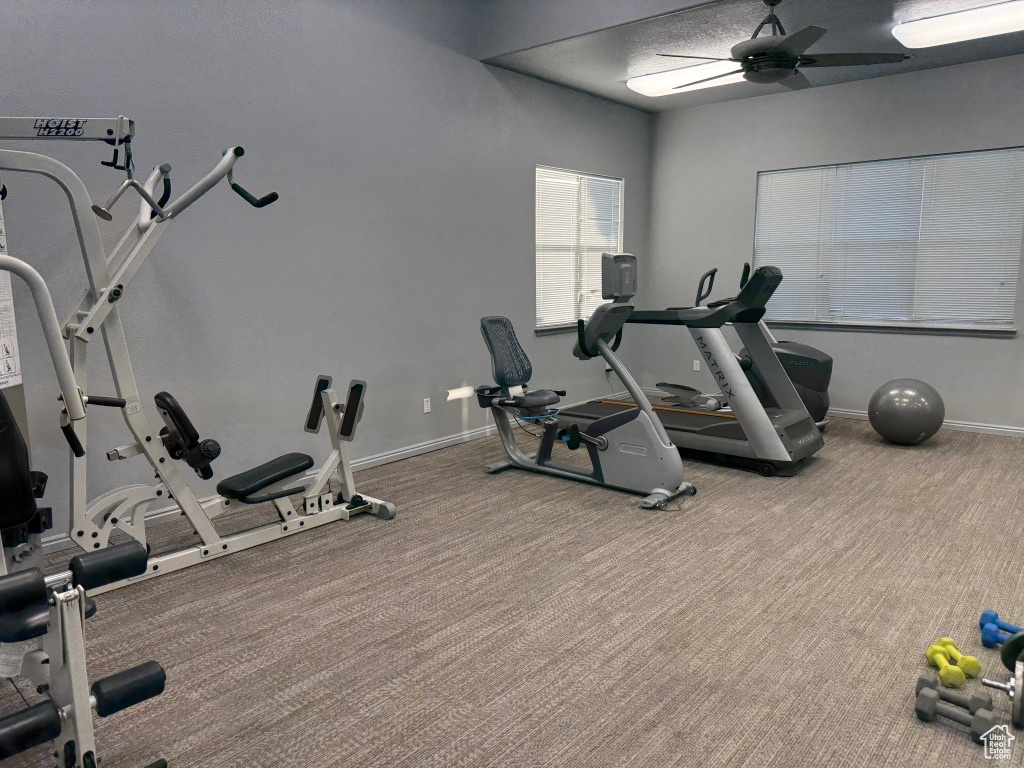 6919 W ASHBY WAY West Valley City, UT 84128