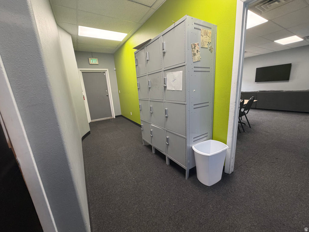 Interior hallway with grey carpet flooring and contrasting lime green accent wall