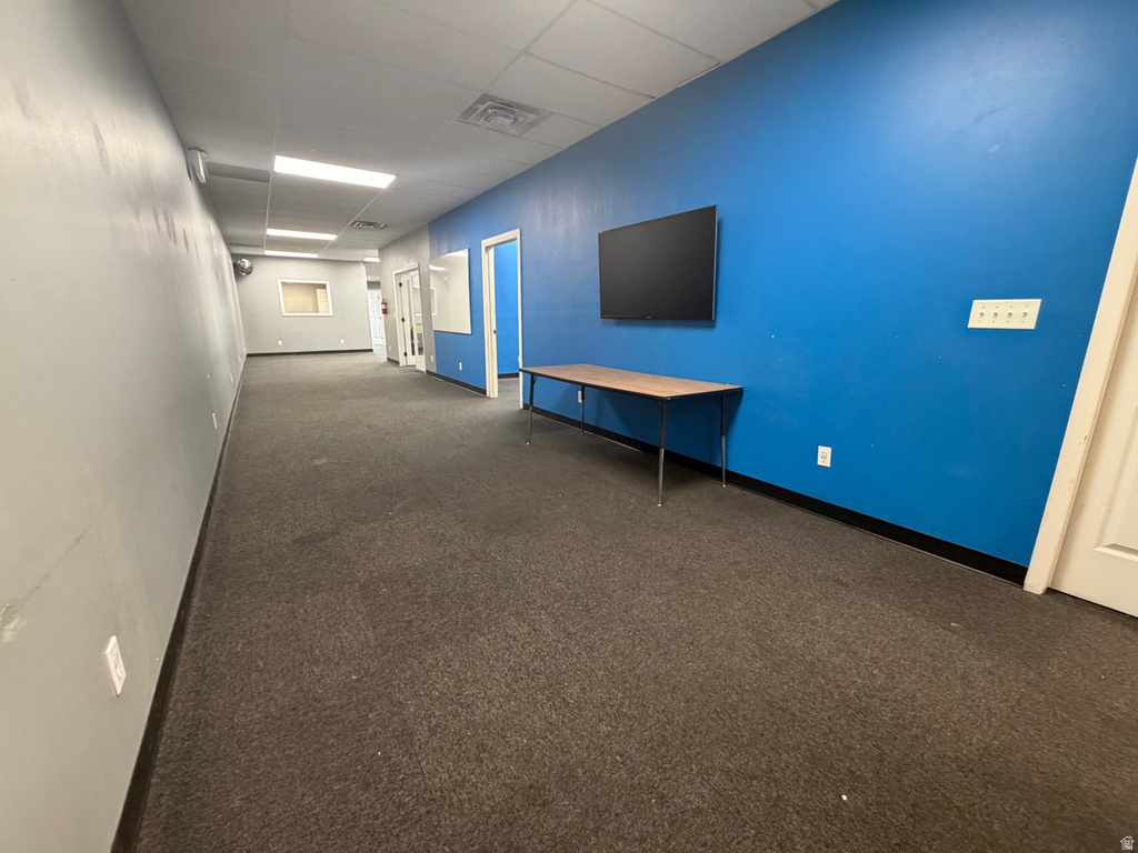 Spacious interior with neutral gray and vibrant blue painted walls, dark gray carpet flooring, recessed fluorescent lighting, and multiple white doors