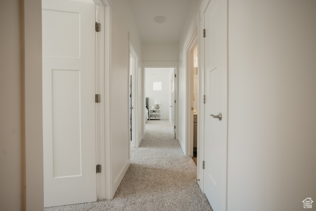 1451 N 3830 W #A101 Lehi, UT 84043