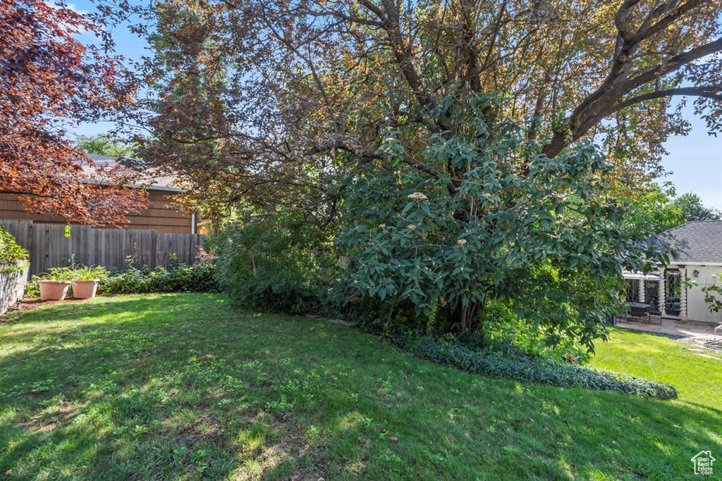 Photo 30 for MLS #2110495 at 243 S Elizabeth St