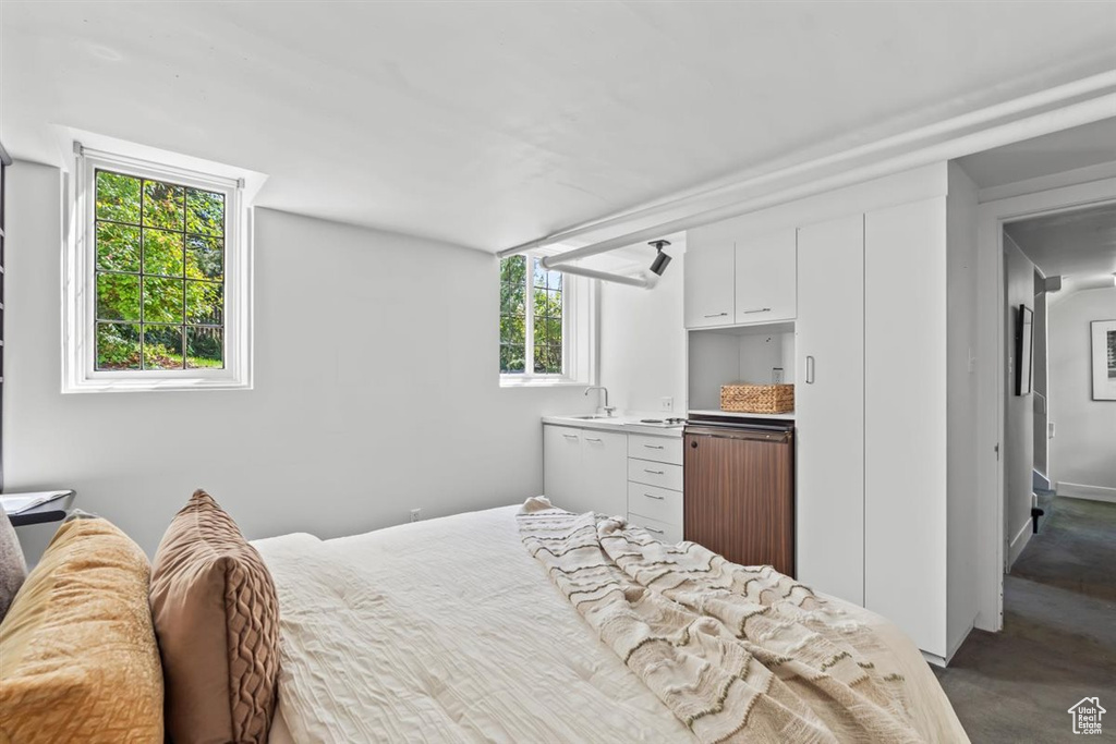 Photo 18 for MLS #2110495 at 243 S Elizabeth St
