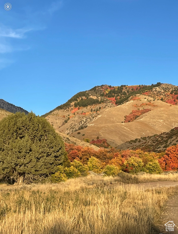 1222 E 300 S Smithfield, UT 84335