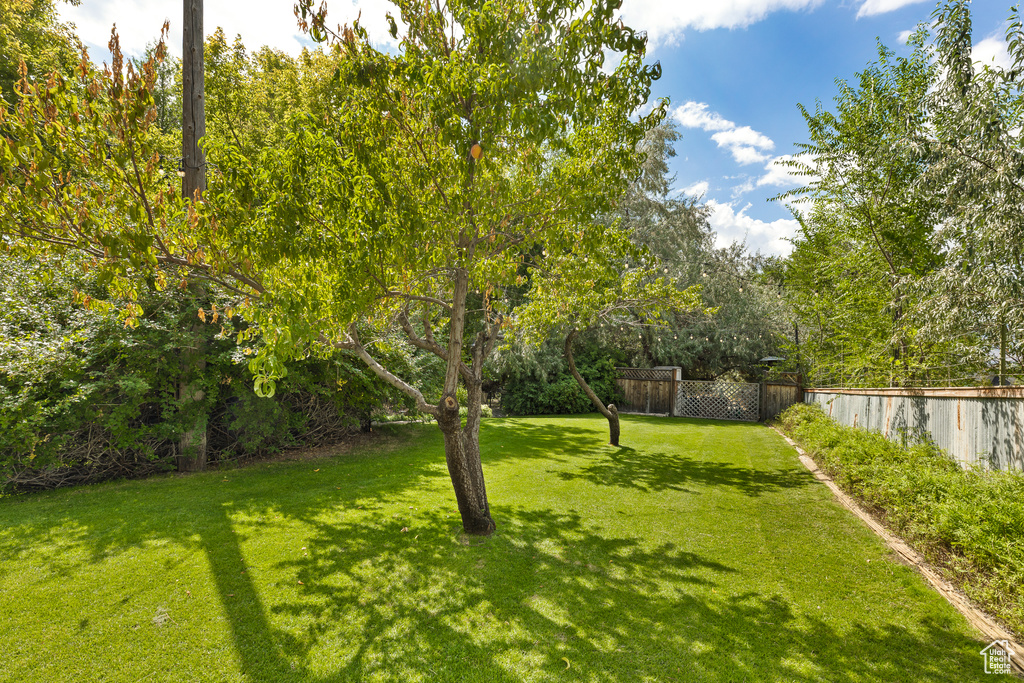 Photo 56 for MLS #2110511 at 442 E Valley View Ln