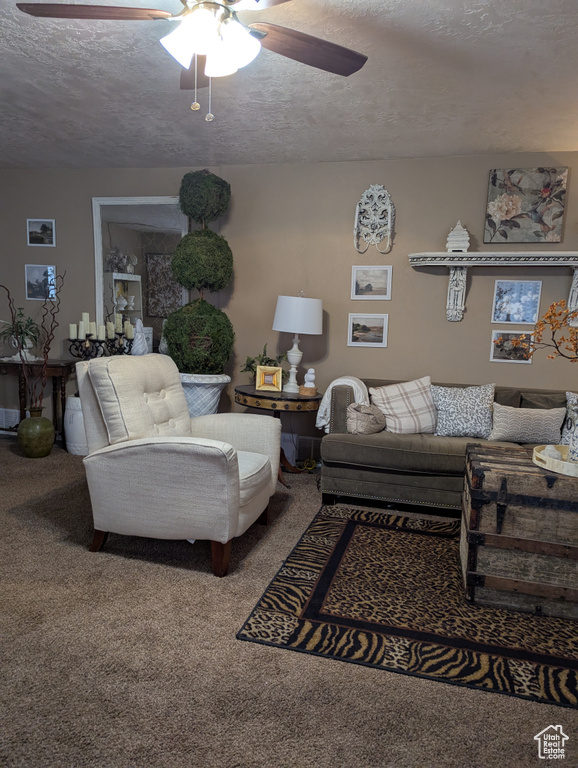 Photo 13 for MLS #2110523 at 169 Carson Ave