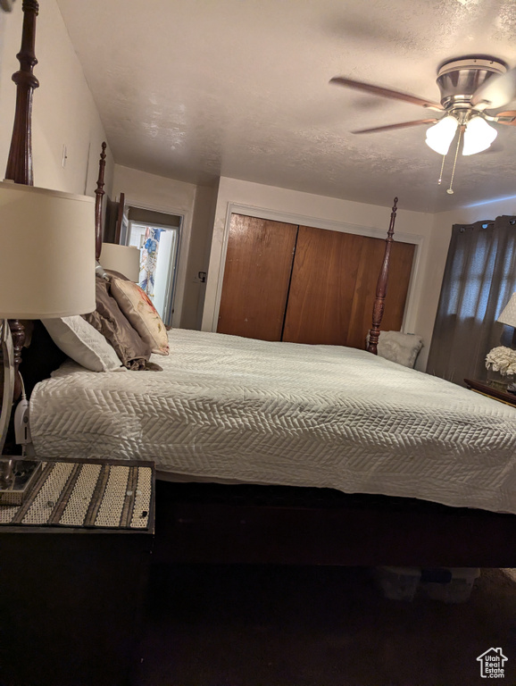 Photo 25 for MLS #2110523 at 169 Carson Ave