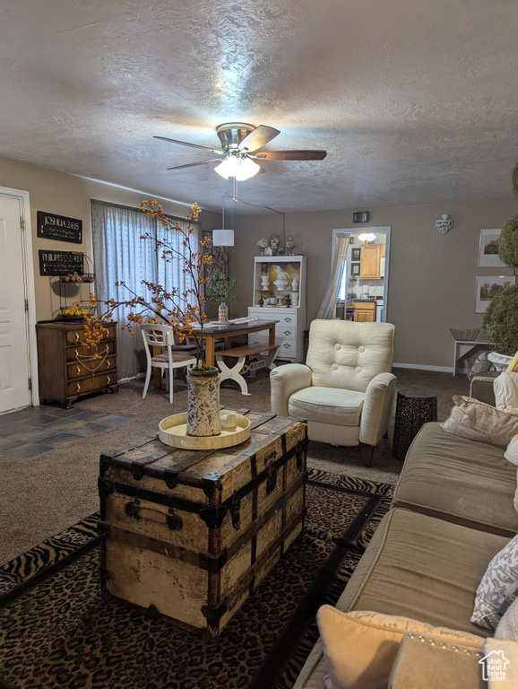 Photo 17 for MLS #2110523 at 169 Carson Ave