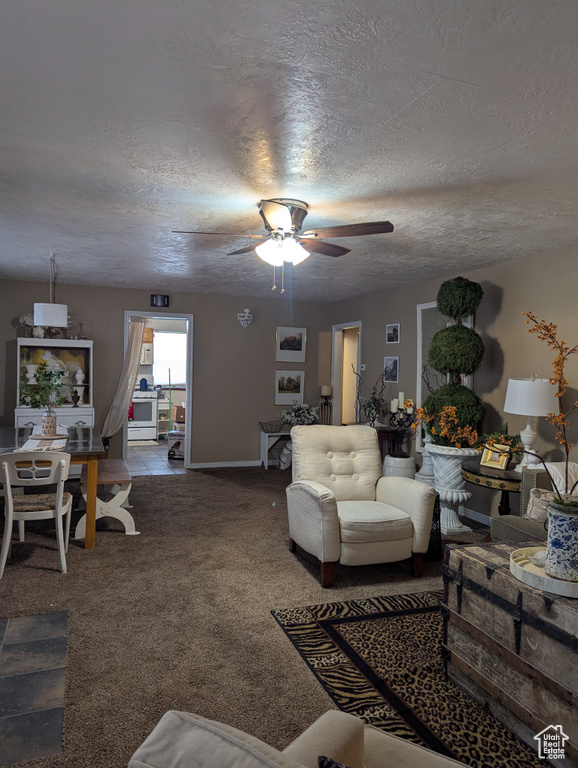 Photo 19 for MLS #2110523 at 169 Carson Ave