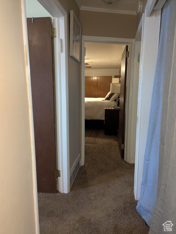 Photo 20 for MLS #2110523 at 169 Carson Ave