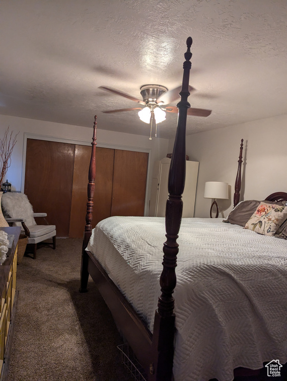 Photo 26 for MLS #2110523 at 169 Carson Ave