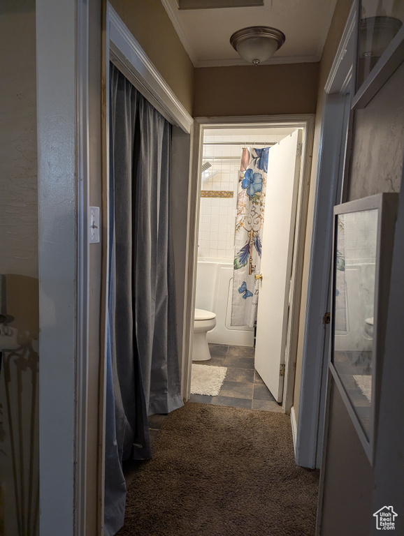 Photo 12 for MLS #2110523 at 169 Carson Ave