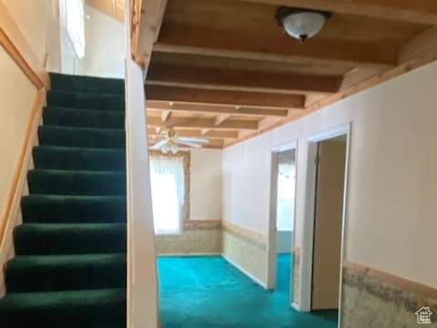 Photo 22 for MLS #2110533 at 1215 Elk Rd