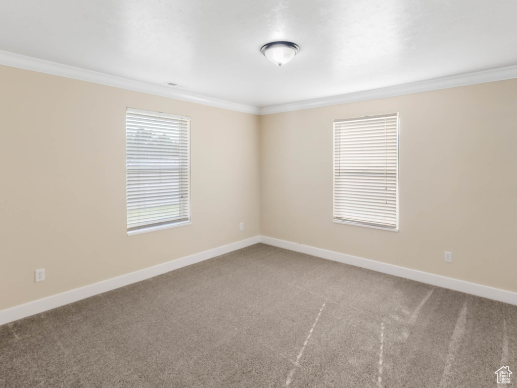 Photo 17 for MLS #2110537 at 365 S Hale