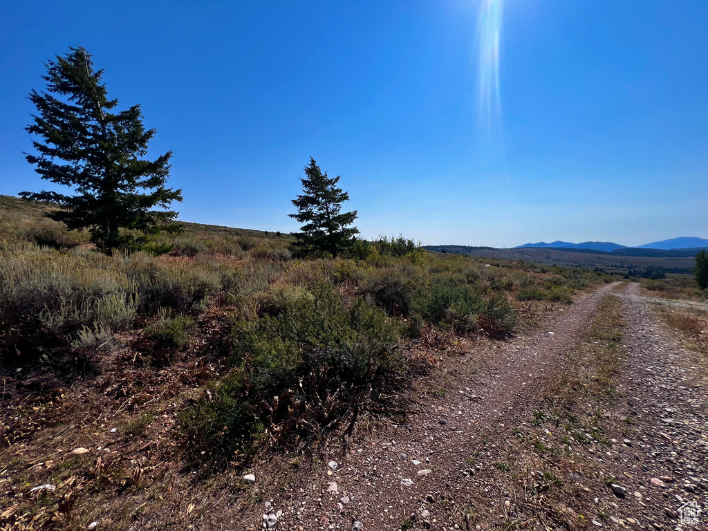 30  NORTHERN LIGHTS DR Bancroft, ID 83217