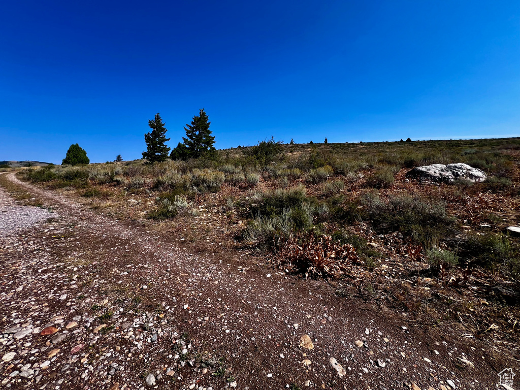 30  NORTHERN LIGHTS DR Bancroft, ID 83217