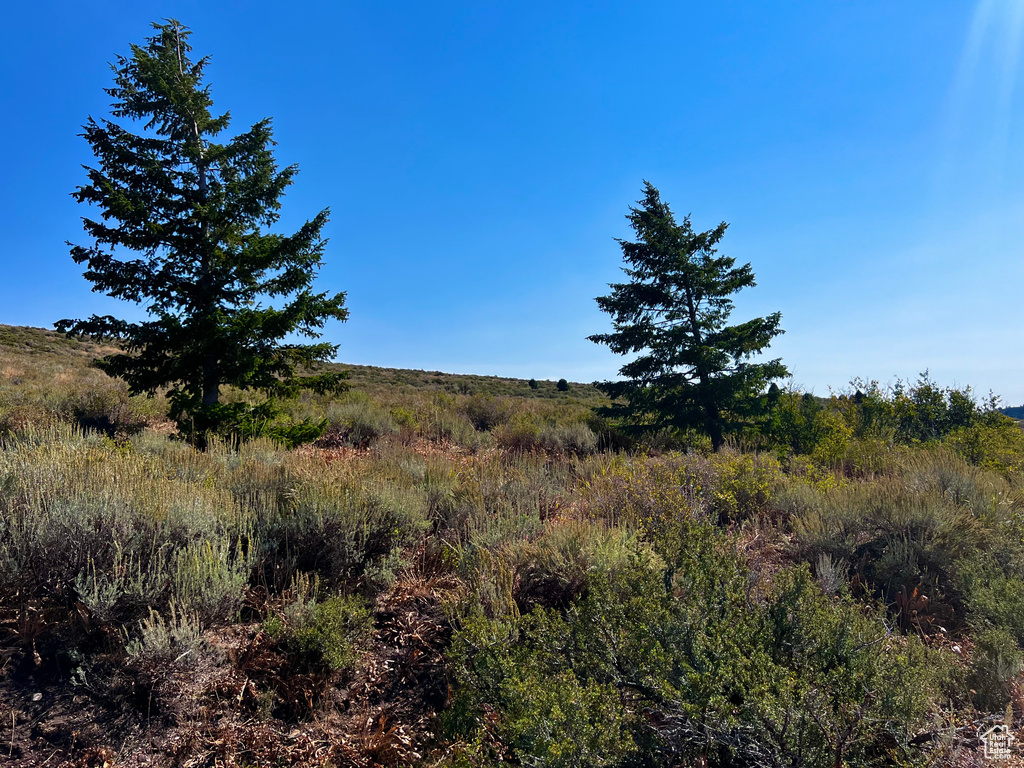 30  NORTHERN LIGHTS DR Bancroft, ID 83217