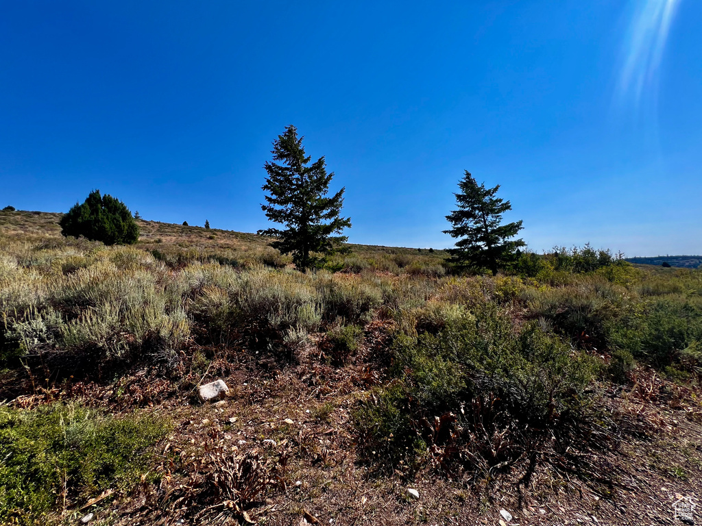 30  NORTHERN LIGHTS DR Bancroft, ID 83217