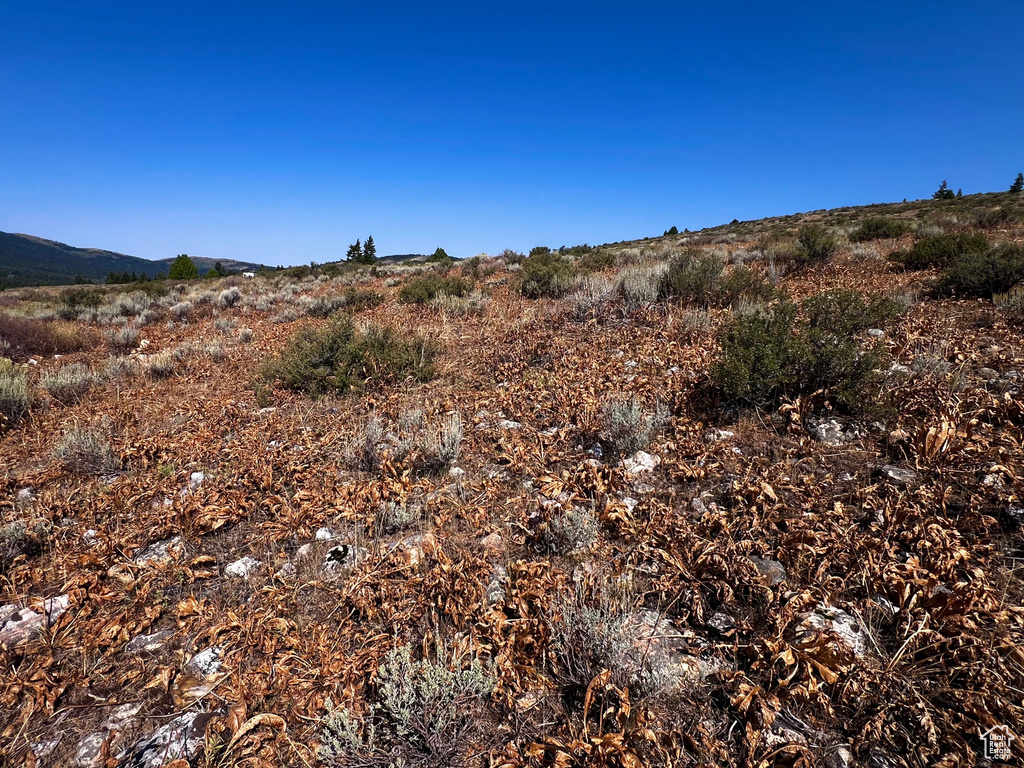 29  NORTHERN LIGHTS DR Bancroft, ID 83217