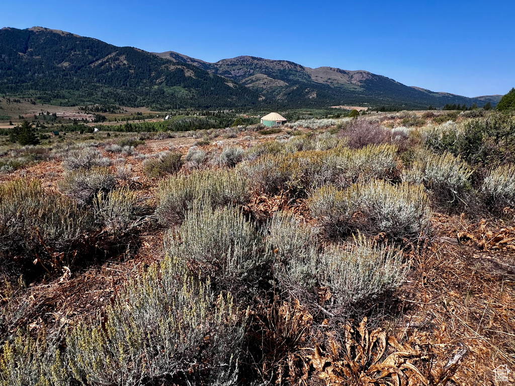 29  NORTHERN LIGHTS DR Bancroft, ID 83217