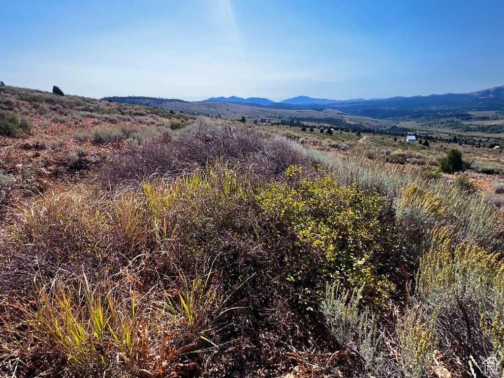 29  NORTHERN LIGHTS DR Bancroft, ID 83217