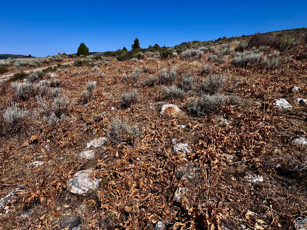 29  NORTHERN LIGHTS DR Bancroft, ID 83217