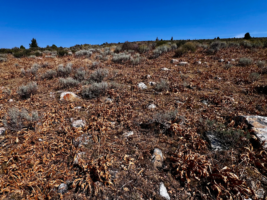 29  NORTHERN LIGHTS DR Bancroft, ID 83217