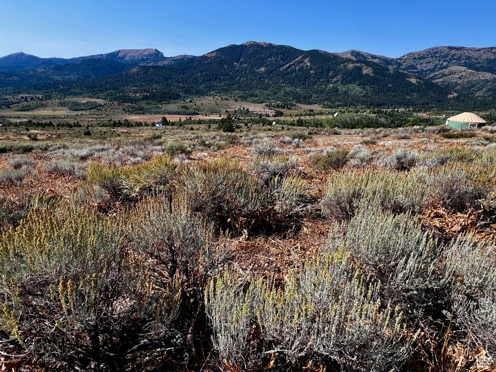 29  NORTHERN LIGHTS DR Bancroft, ID 83217