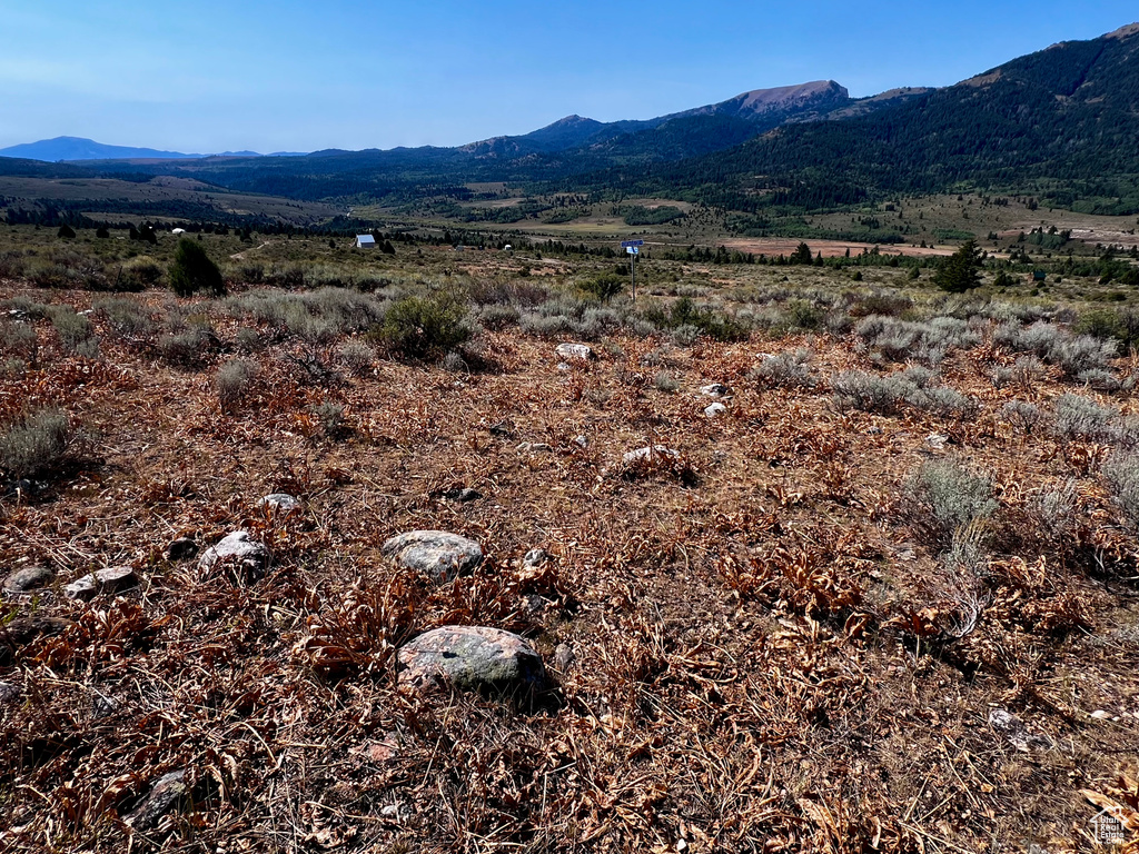 29  NORTHERN LIGHTS DR Bancroft, ID 83217