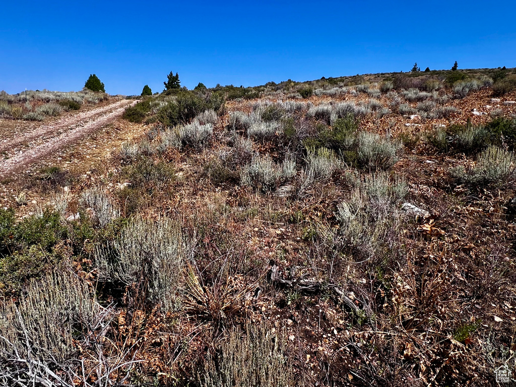 29  NORTHERN LIGHTS DR Bancroft, ID 83217