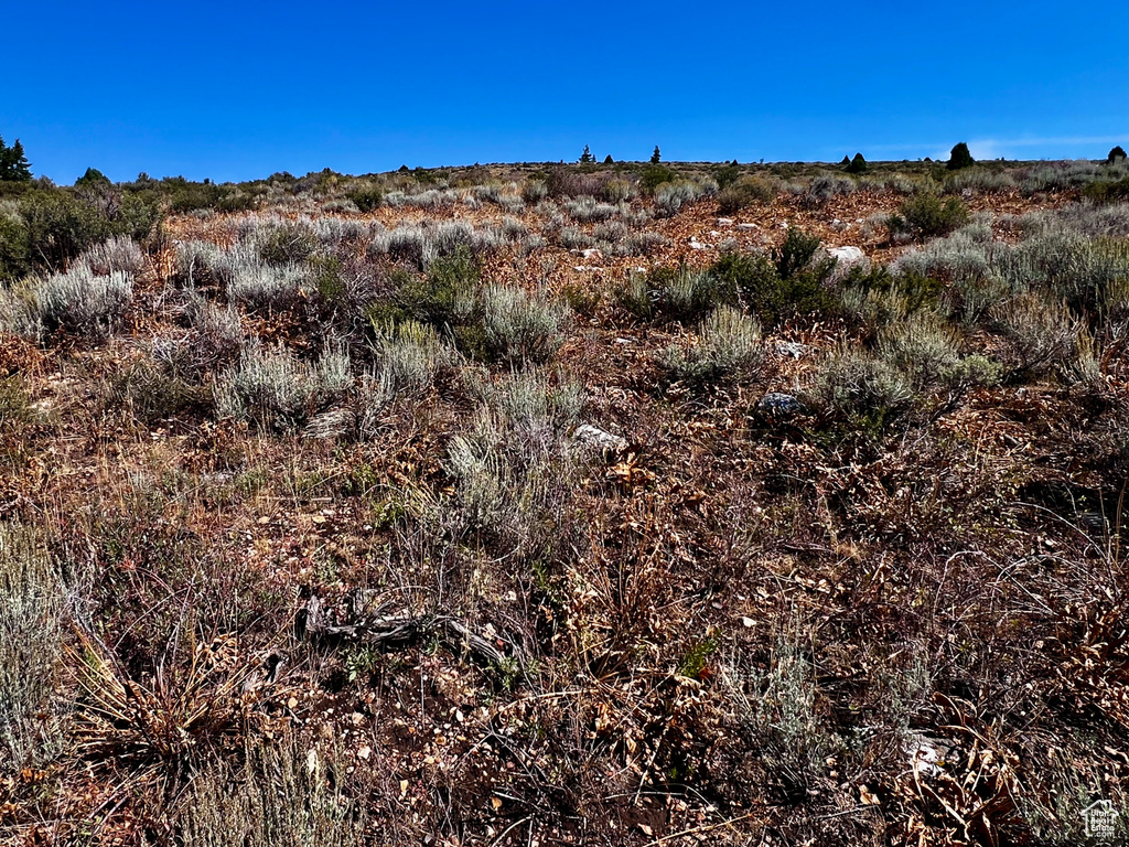 29  NORTHERN LIGHTS DR Bancroft, ID 83217