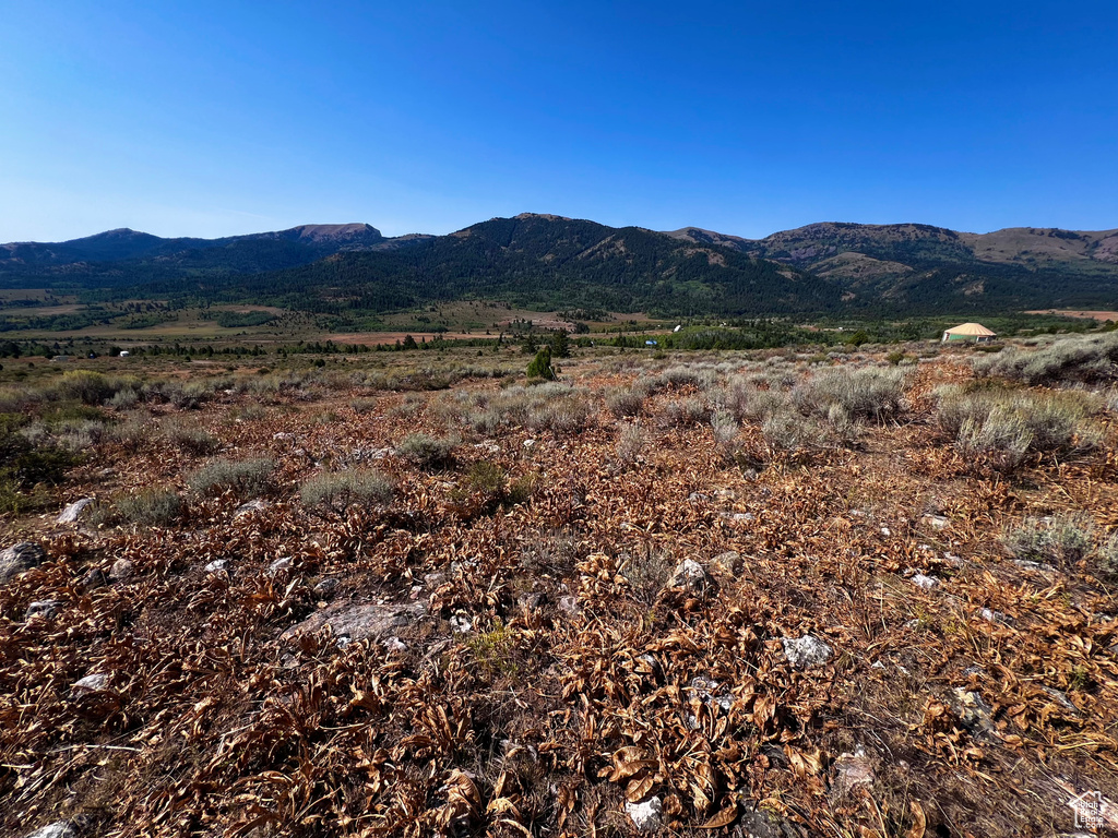 28  BOREAULIS CIR Bancroft, ID 83217