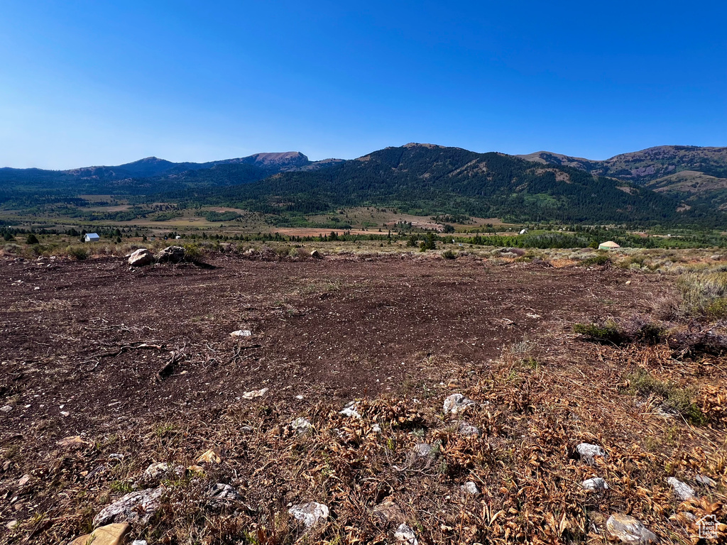 28  BOREAULIS CIR Bancroft, ID 83217