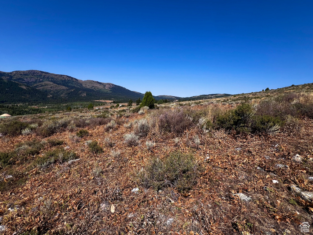 28  BOREAULIS CIR Bancroft, ID 83217