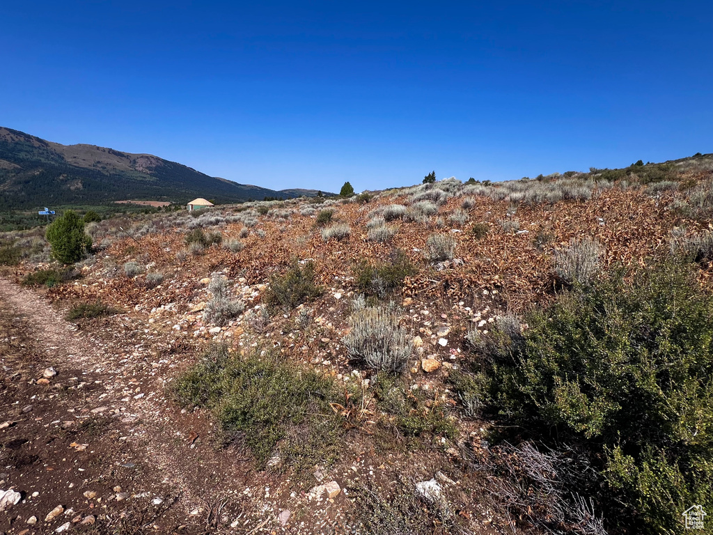 28  BOREAULIS CIR Bancroft, ID 83217