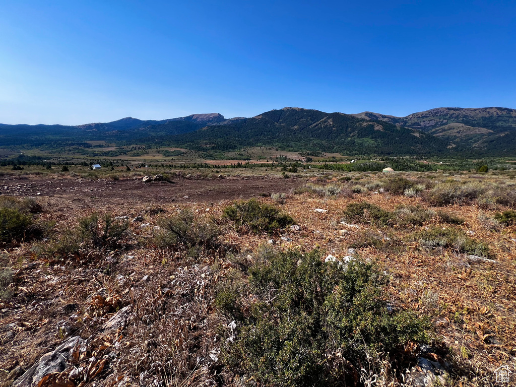 28  BOREAULIS CIR Bancroft, ID 83217