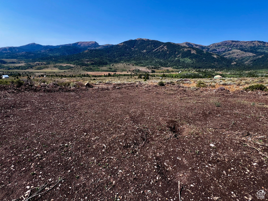 28  BOREAULIS CIR Bancroft, ID 83217