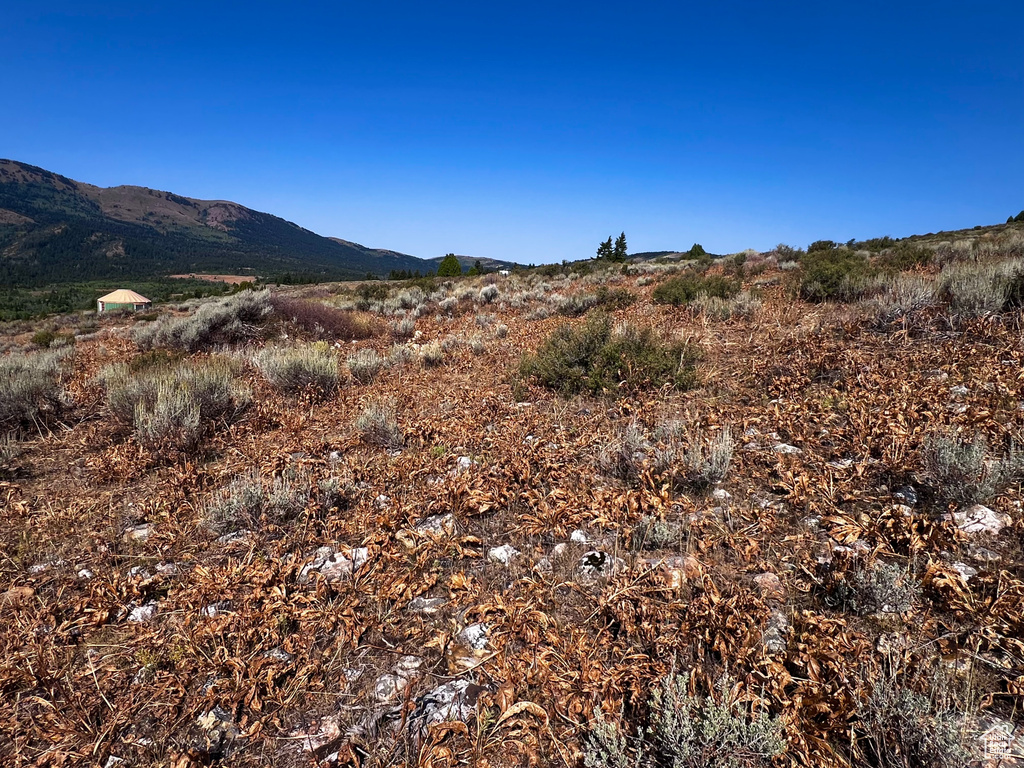 28  BOREAULIS CIR Bancroft, ID 83217