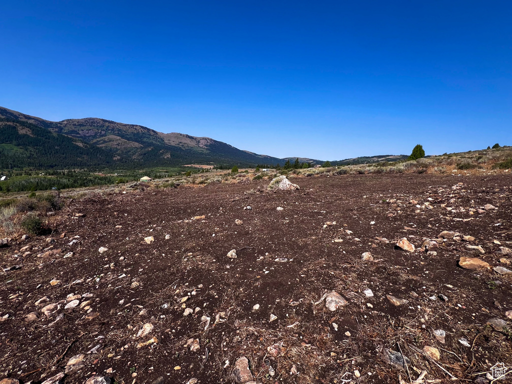 28  BOREAULIS CIR Bancroft, ID 83217