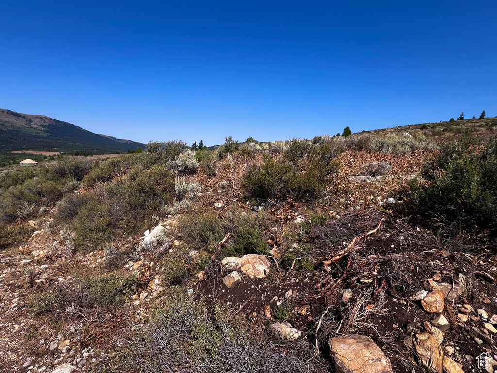 28  BOREAULIS CIR Bancroft, ID 83217