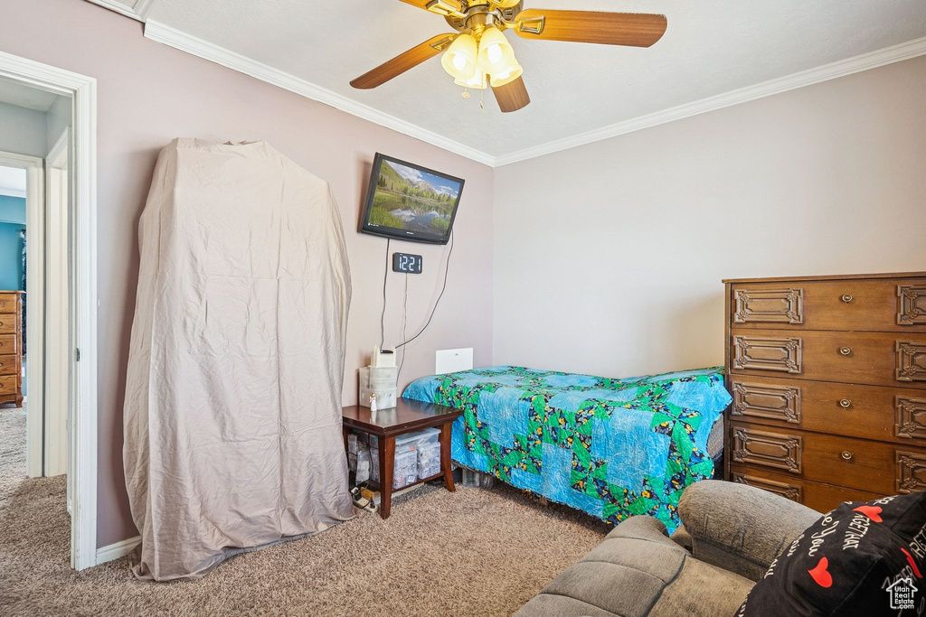 947 W 370 S Tooele, UT 84074