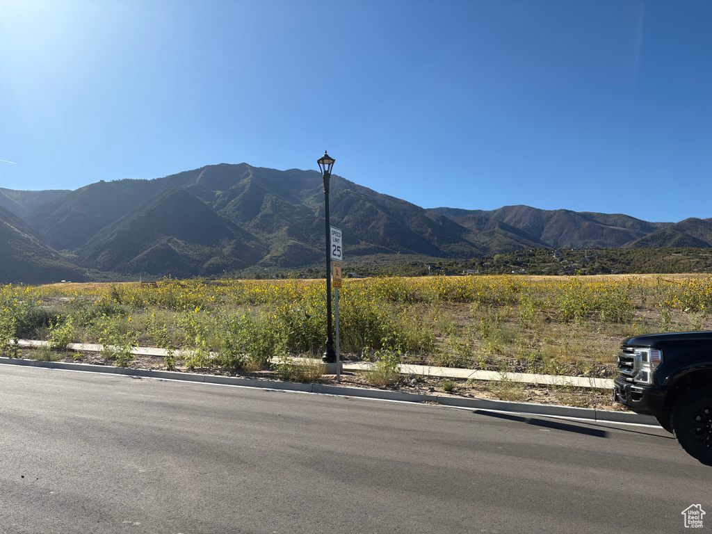 818 E RIDGEVIEW DR Salem, UT 84653