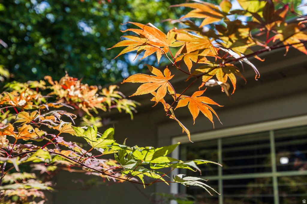 1219 S 1800 E Salt Lake City, UT 84108