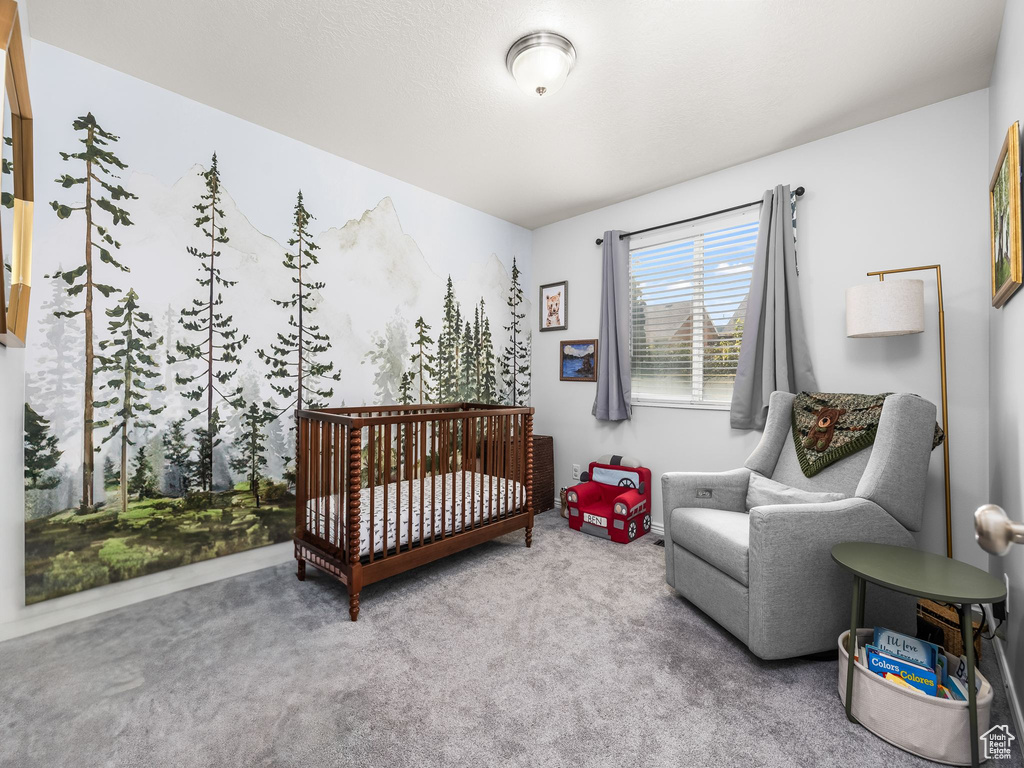 Photo 10 for MLS #2110590 at 13094 S Pioneer Park Dr