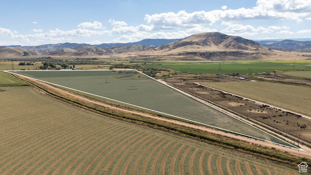 1800 N VERMILLION CANAL RD Venice, UT 84701