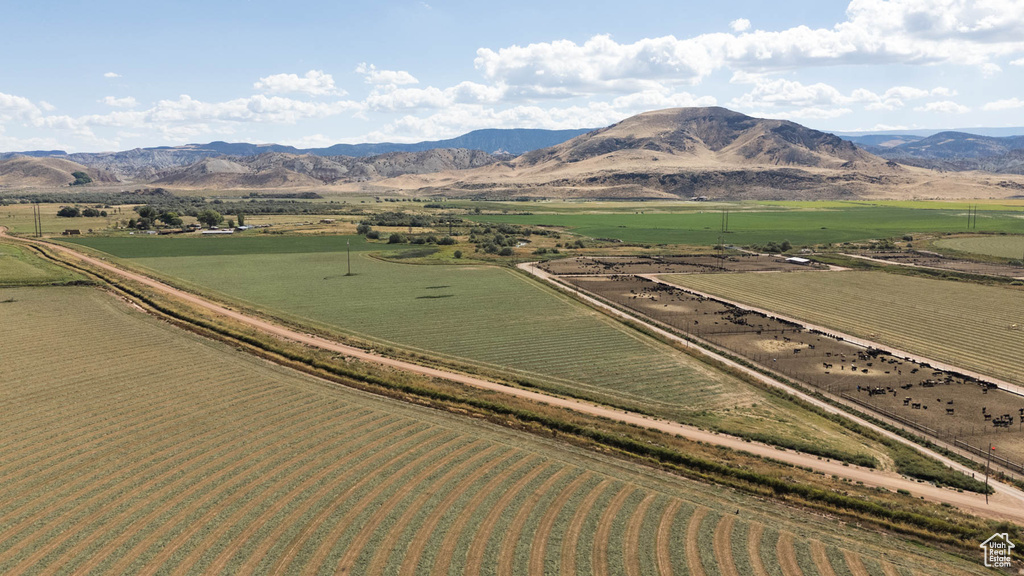 1800 N VERMILLION CANAL RD Venice, UT 84701